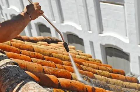 Nettoyage de toitures - Briennon